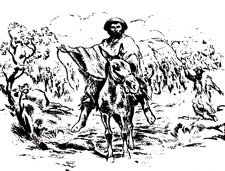cinco hermanos